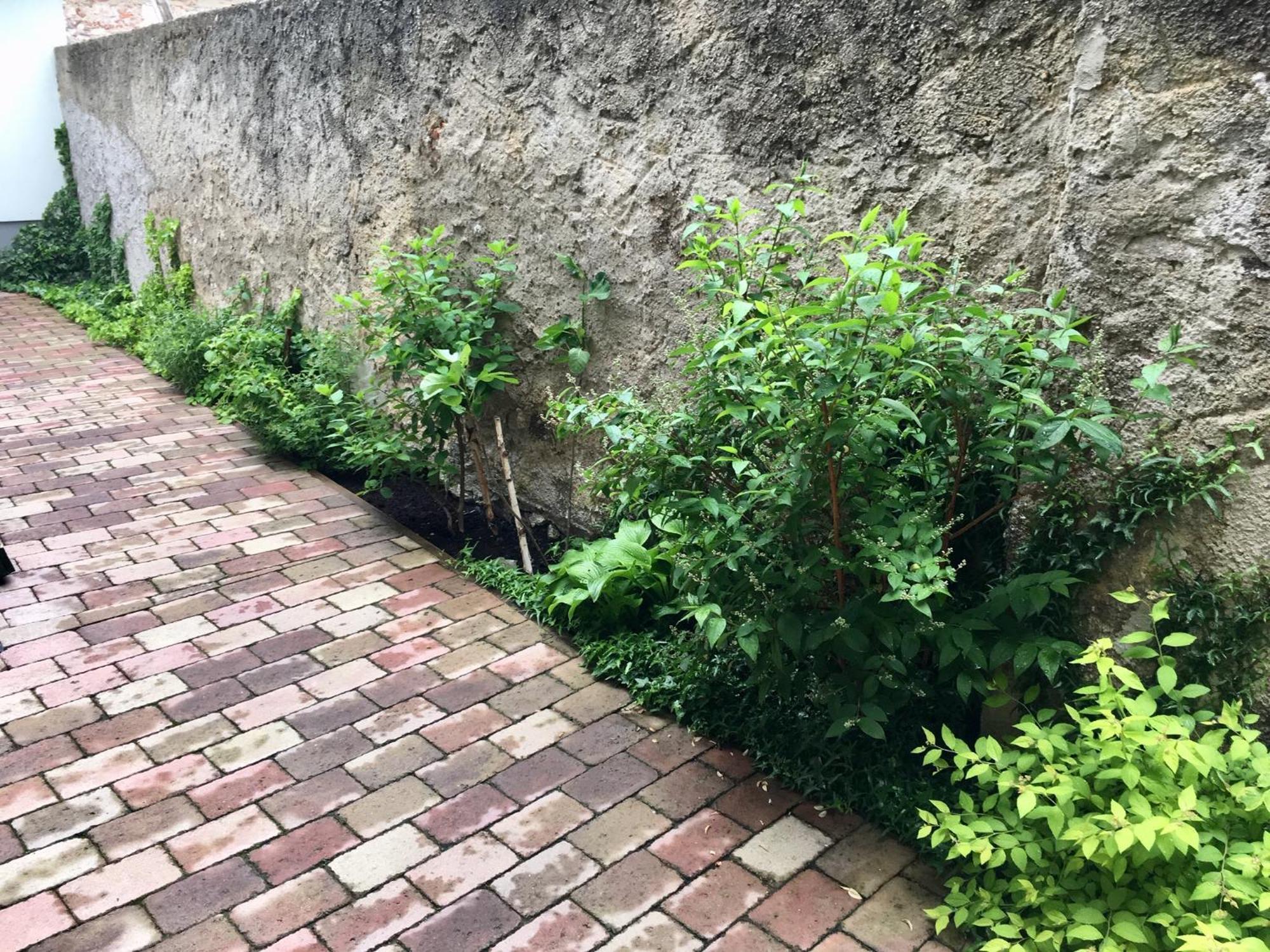 Apartmany U Vavrince Sušice Zewnętrze zdjęcie
